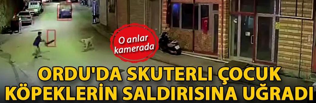 Ordu'da skuterlı çocuk köpeklerin saldırısına uğradı; o anlar kamerada