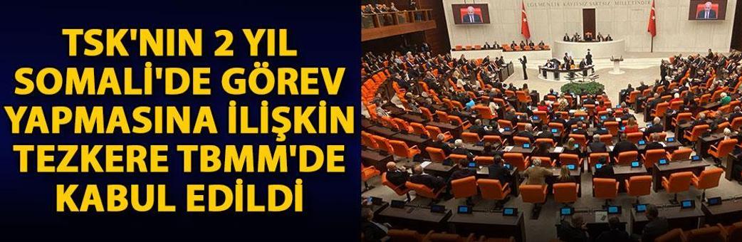 TSK'nın 2 yıl Somali'de görev yapmasına ilişkin tezkere, TBMM'de kabul edildi
