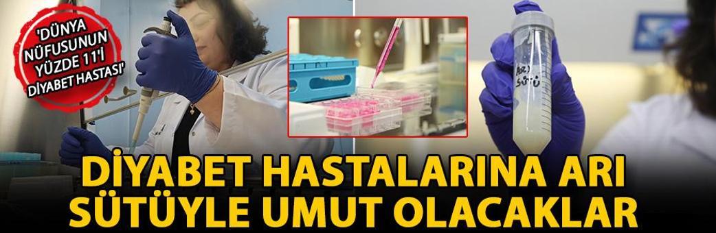 Diyabet hastalarına arı sütüyle umut olacaklar