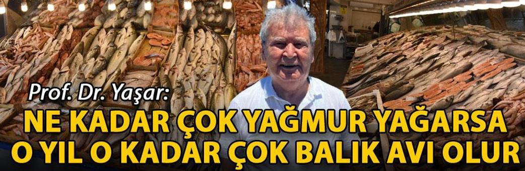 Prof. Dr. Yaşar: Ne kadar çok yağmur yağarsa o yıl o kadar çok balık avı olur
