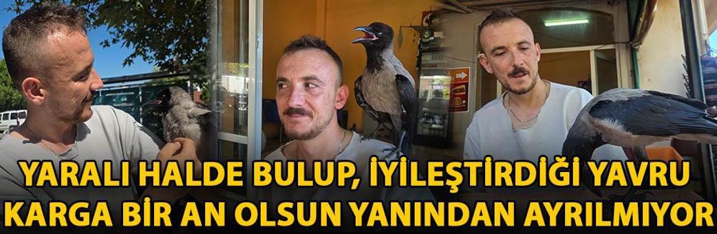 Yaralı halde bulup, iyileştirdiği yavru karga bir an olsun yanından ayrılmıyor