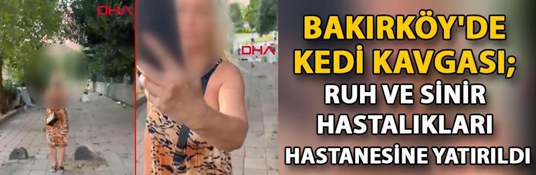 Bakırköy'de kedi kavgası; ruh ve sinir hastalıkları hastanesine yatırıldı