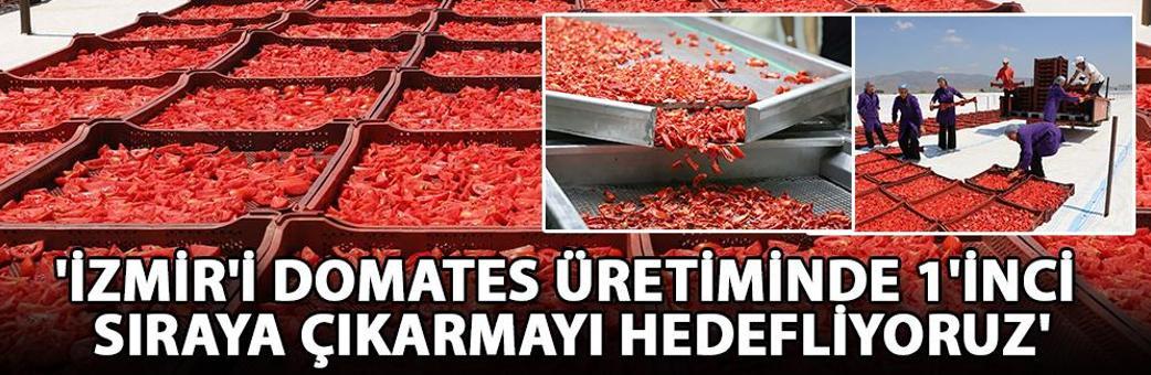 'İzmir'i domates üretiminde 1'inci sıraya çıkarmayı hedefliyoruz