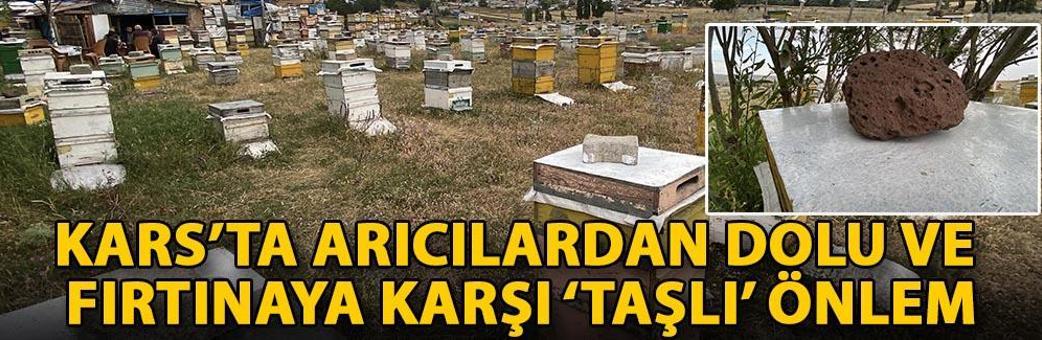 Kars’ta arıcılardan dolu ve fırtınaya karşı ‘taşlı’ önlem