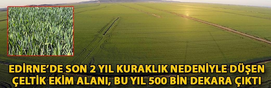 Edirne’de son 2 yıl kuraklık nedeniyle düşen çeltik ekim alanı, bu yıl 500 bin dekara çıktı