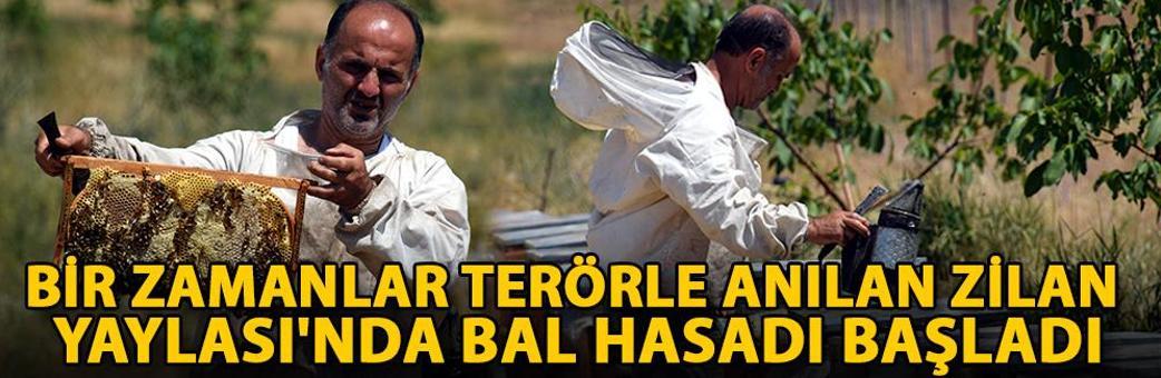 Bir zamanlar terörle anılan Zilan Yaylası'nda bal hasadı başladı