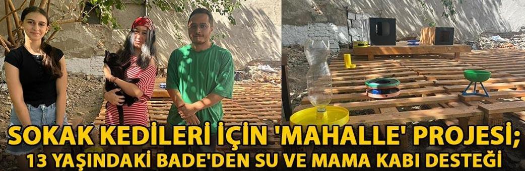 Sokak kedileri için 'mahalle' projesi; 13 yaşındaki Bade'den su ve mama kabı desteği
