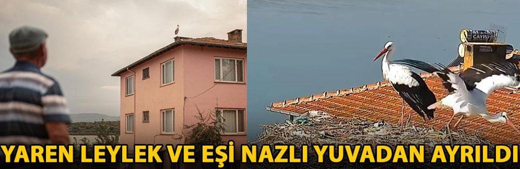 Yaren leylek ve eşi Nazlı yuvadan ayrıldı