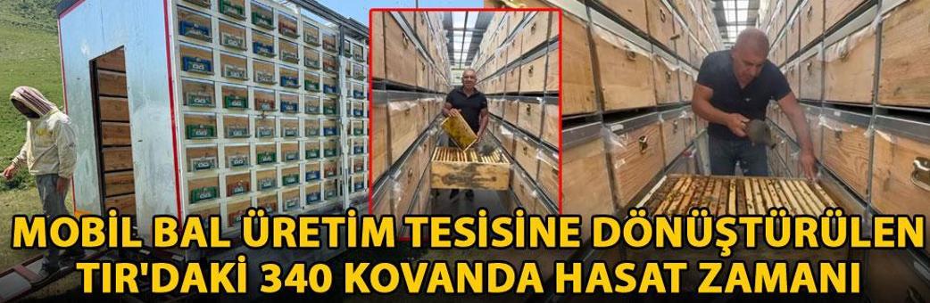Mobil bal üretim tesisine dönüştürülen TIR'daki 340 kovanda hasat zamanı