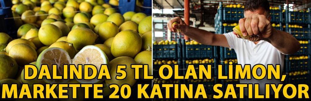 Dalında 5 TL olan limon, markette 20 katına satılıyor