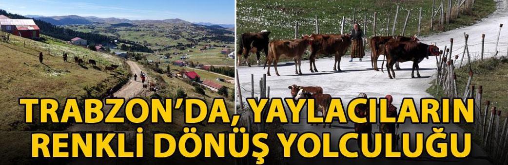 Trabzon’da, yaylacıların renkli dönüş yolculuğu