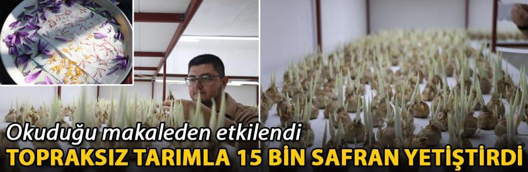 Okuduğu makaleden etkilendi, topraksız tarımla 15 bin safran yetiştirdi