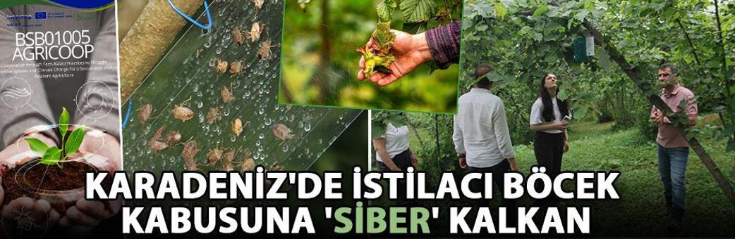 Karadeniz'de istilacı böcek kabusuna 'siber' kalkan