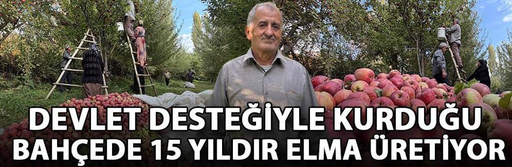 Devlet desteğiyle kurduğu bahçede 15 yıldır elma üretiyor