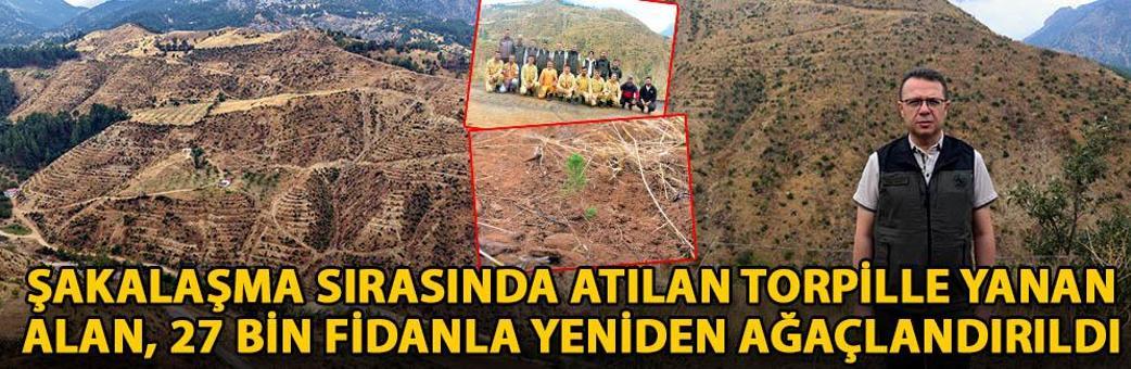 Şakalaşma sırasında atılan torpille yanan alan, 27 bin fidanla yeniden ağaçlandırıldı