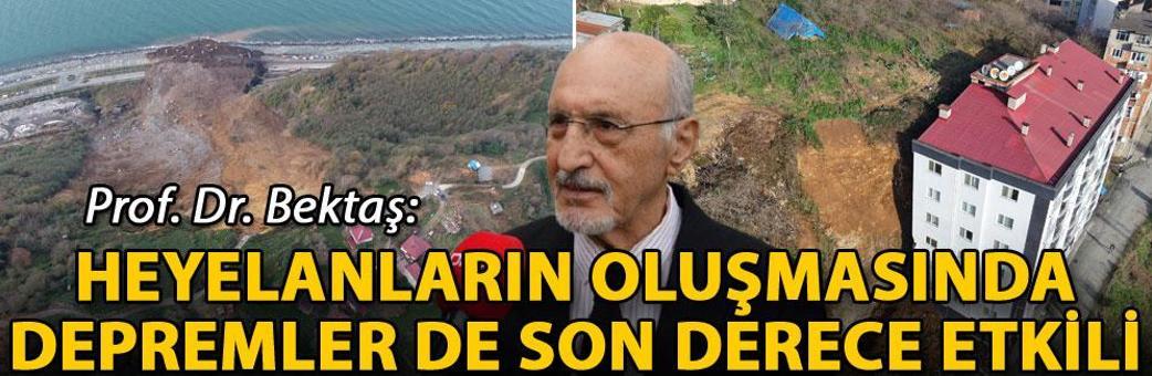 Prof. Dr. Bektaş: Heyelanların oluşmasında depremler de son derece etkili