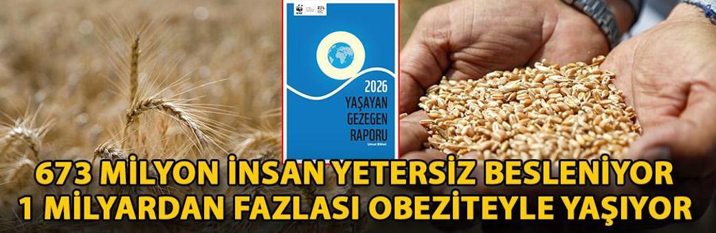 673 milyon insan yetersiz besleniyor, 1 milyardan fazlası obeziteyle yaşıyor