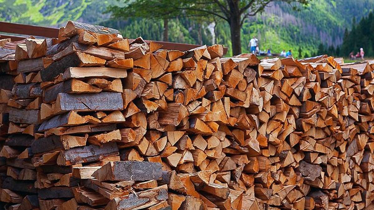 Orman köylüsüne ısı yalıtımı desteği ile 63 bin ton odun tasarrufu - Güncel Gündem Haberleri