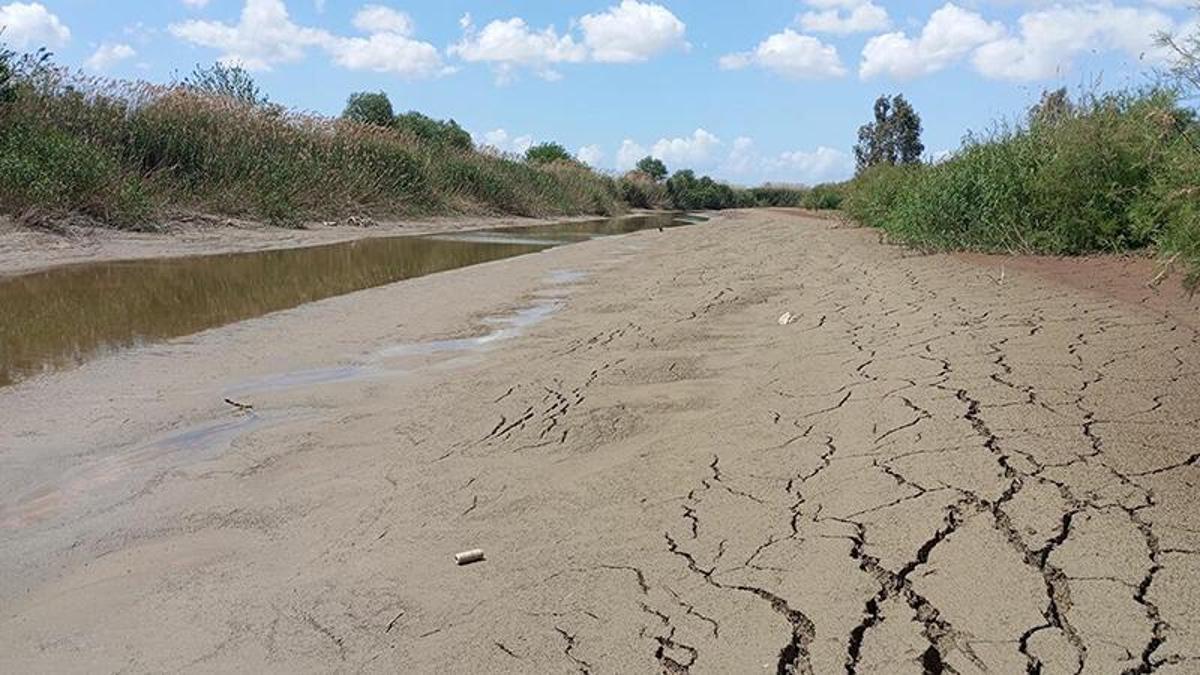 Büyük Menderes'te kuraklık sinyali; su kıtlığı kapıda