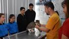 Ortaokul öğrencileri, yaralı kedi 'Kurabiye'nin tedavisi için harçlıklarını biriktirdi