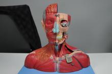 Türk bilim insanları, epilepsi ataklarını azaltan pil geliştirdi