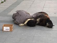 Taksim'de köpeğine sarılarak uyuyan çocuk yürek sızlattı