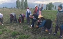 Muharrem İnce: 24 Haziran’dan sonra bu aksaklıklar düzelecek