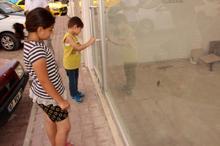 Boş dükkanda mahsur kalan serçe kurtarıldı