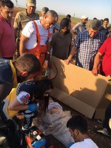 Düğün yolunda feci kaza: Ölü ve yaralılar var