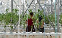 Van'da jeotermal elektrik santrali kuruluyor