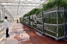 Van'da jeotermal elektrik santrali kuruluyor