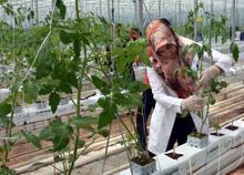 Van'da jeotermal elektrik santrali kuruluyor