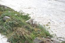 Selden kurtulan fındık işçileri, o anları anlattı