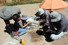 Van'da Urartuların ayak izine rastlandı