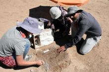 Van'da Urartuların ayak izine rastlandı