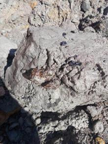 Bayburt'ta tesadüfen keşfedilen 'kehribar' için harekete geçiliyor