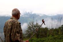 Doğu Karadeniz’de atmaca tutkunları pusuya yattı, ava başladı