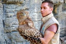 Dünyada çok nadir bulunuyor! Mersin'de vatandaşlar buldu