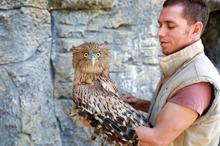 Dünyada çok nadir bulunuyor! Mersin'de vatandaşlar buldu