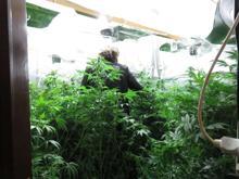 Beykoz'da villaya uyuşturucu baskını! Şok görüntüler