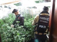 Beykoz'da villaya uyuşturucu baskını! Şok görüntüler