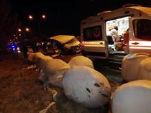 Üniversiteli Sibel'den acı haber!