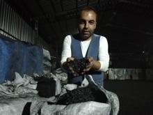 Fındık kabuğundan mangal kömürü üretiyor
