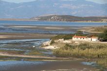 Taşburun, 'çöpburun' oldu