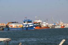 Taşburun, 'çöpburun' oldu