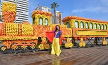 Narenciye Festivali renkli görüntülerle başladı