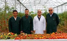 Anadolu'nun unutulan lezzetleri ıslah ediliyor