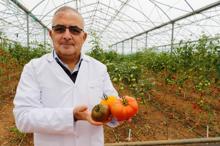 Anadolu'nun unutulan lezzetleri ıslah ediliyor