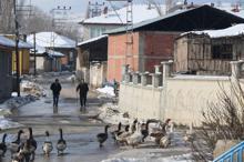 Bu mahallede yaşayanların üçte biri 'Yahya'