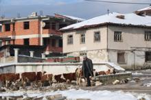 Bu mahallede yaşayanların üçte biri 'Yahya'